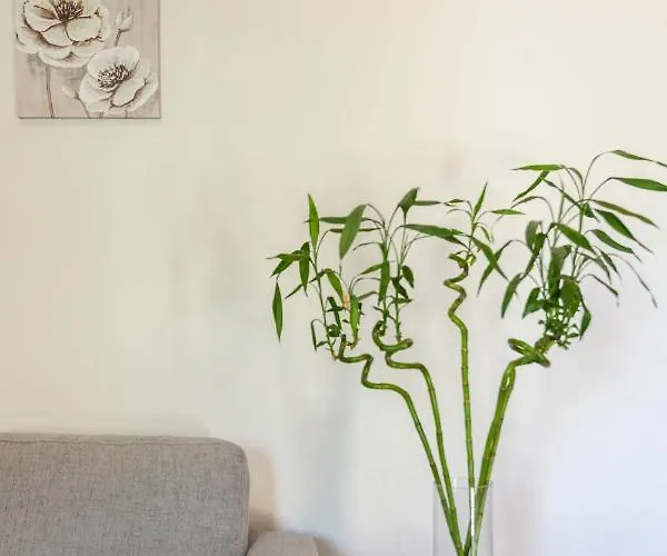 Avra In Center - 50m To *