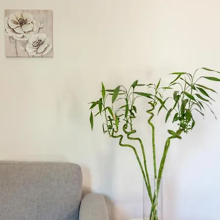 Avra In Center - 50m To *